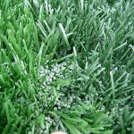 art_turf2